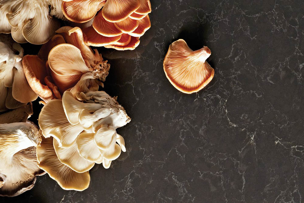 Caesarstone Piatra Grey 5003